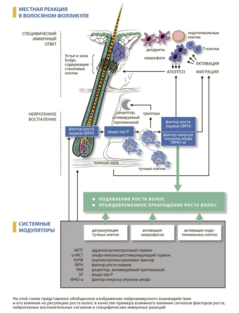 I-2-4-1.jpg I-2-4-1.jpg